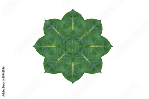 Flower form leaf