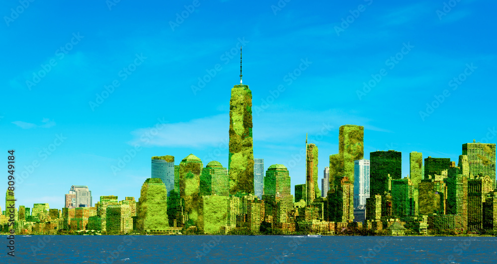 Fototapeta premium Ner York Manhattan Green