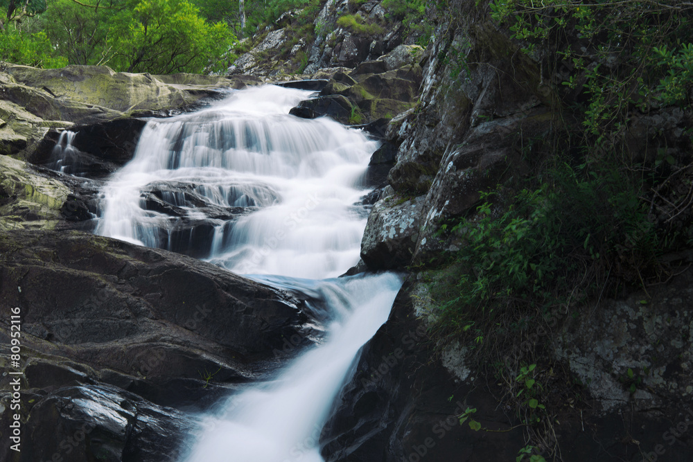Fototapeta premium Waterfall in the gold coast hinterlands on the NSW border.