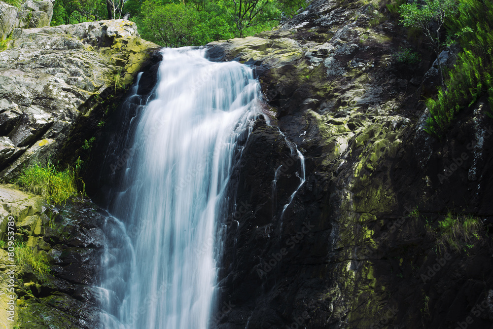 Waterfall in the gold coast hinterlands on the NSW border. Waterfall in the gold coast hinterlands on the NSW border.