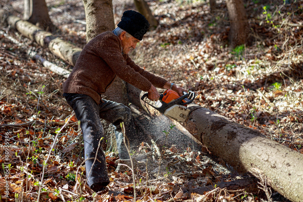 Old man cutting trees using a chainsaw in the forest Old man cutting trees using a chainsaw in the forest