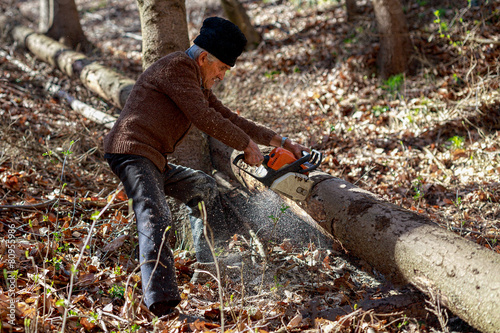 Old man cutting trees using a chainsaw in the forest