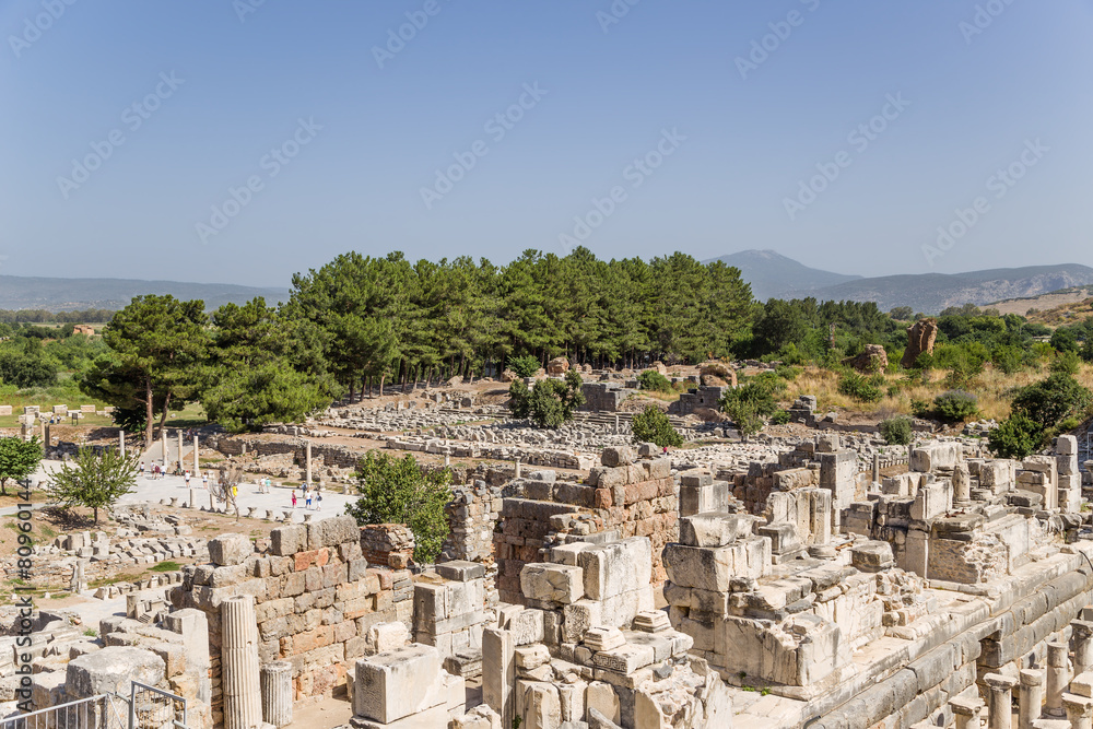 Archaeological site of Ephesus. Ruins near the Big Theatre