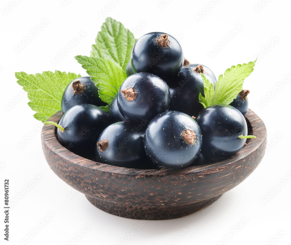 Black currant isolated Black currant isolated