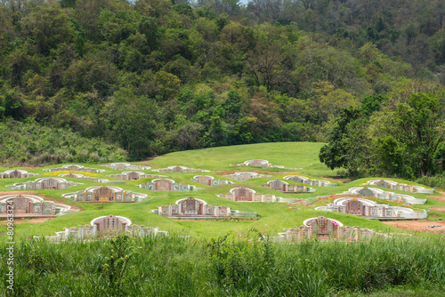 Chinese graves