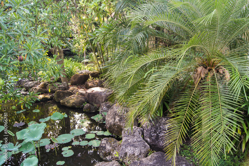 ridge of large stones between the pond and palm tree