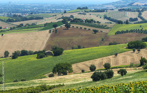 Summer landscape in Marches (Italy) © Claudio Colombo