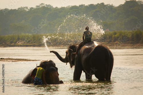 Man washing his elephant on the banks of river photo