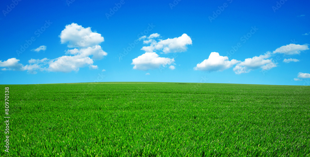 green field green field