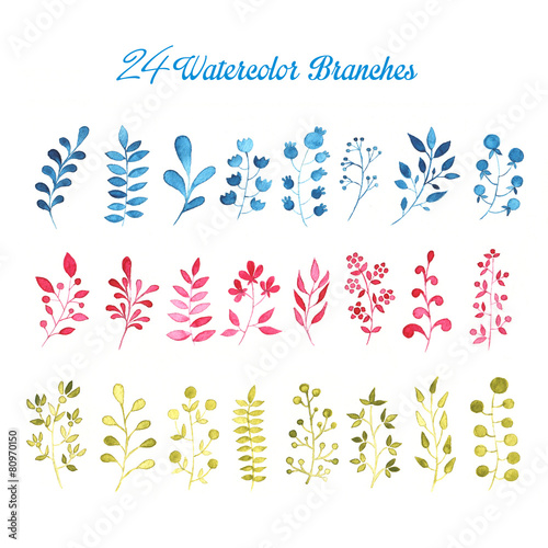 24 Watercolor Branches