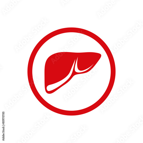 Illustration of the human internal liver.