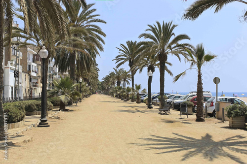 Palm alley on the waterfront Calella