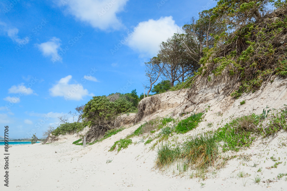 sand dune in Maria Pia beach