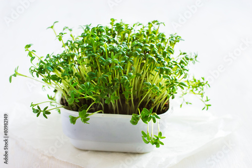 Fresh cress on white background