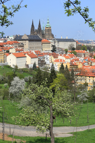 View on the spring Prague with gothic Castle
