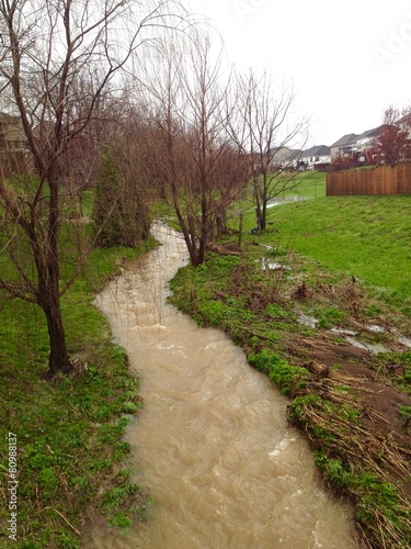 spring creek after  rain photo