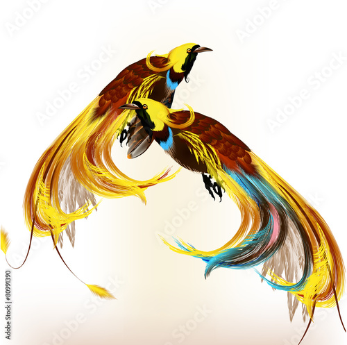 Colorful tropical birds