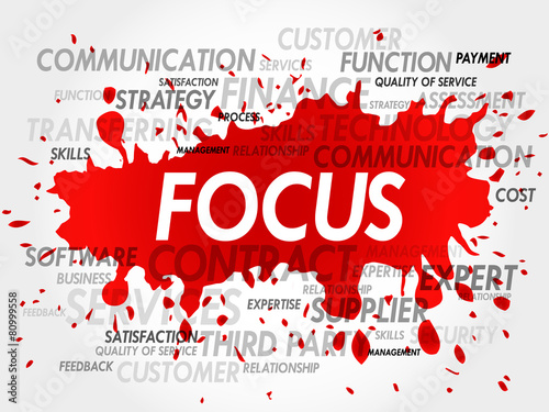 Word cloud of FOCUS related items