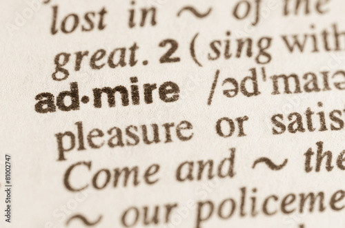 Dictionary definition of word admire