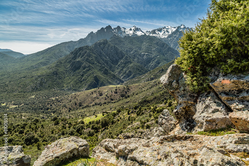 View towards mountains of Asco in Corsica