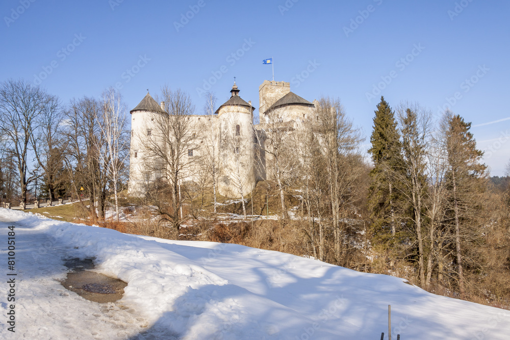 Niedzica castle in Poland.