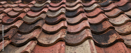 The old roof covered with orange tiles