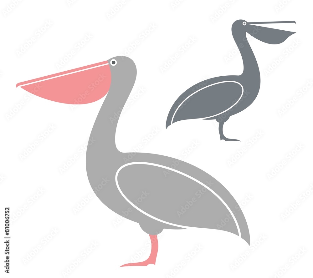 Pelican Pelican