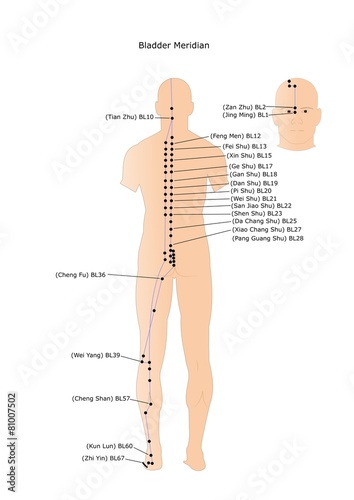 agopuntura: meridiano della vescica photo