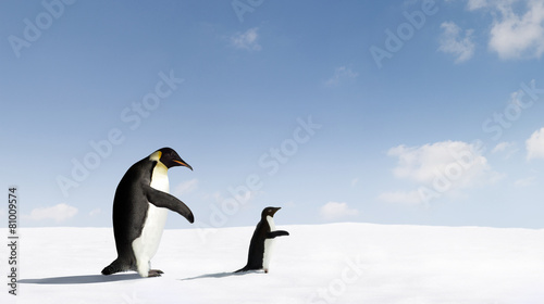 Penguins