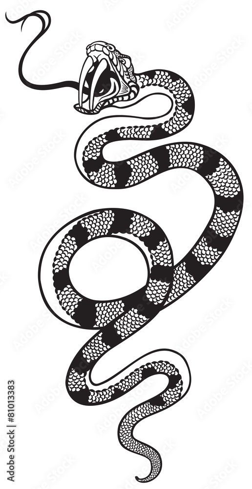 Obraz premium snake tattoo