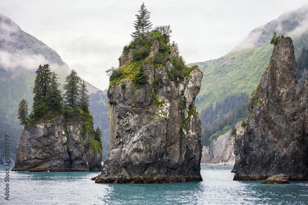 Obraz premium Sea Stacks, Kenai Fjords National Park, Alaska