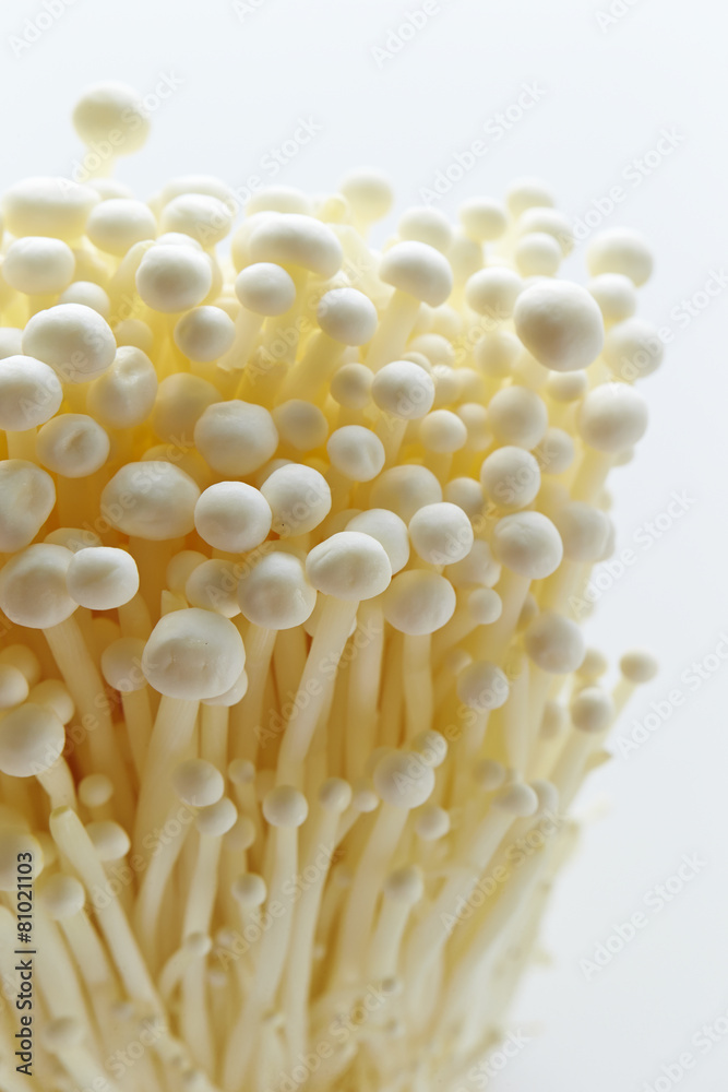 Mushrooms Mushrooms