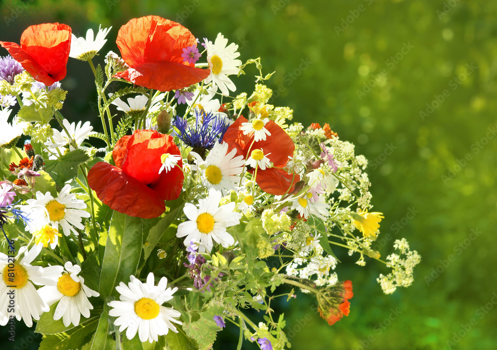 Obraz premium Wiesenblumenstrauss, Strauss aus frischen wildblumen, copy space