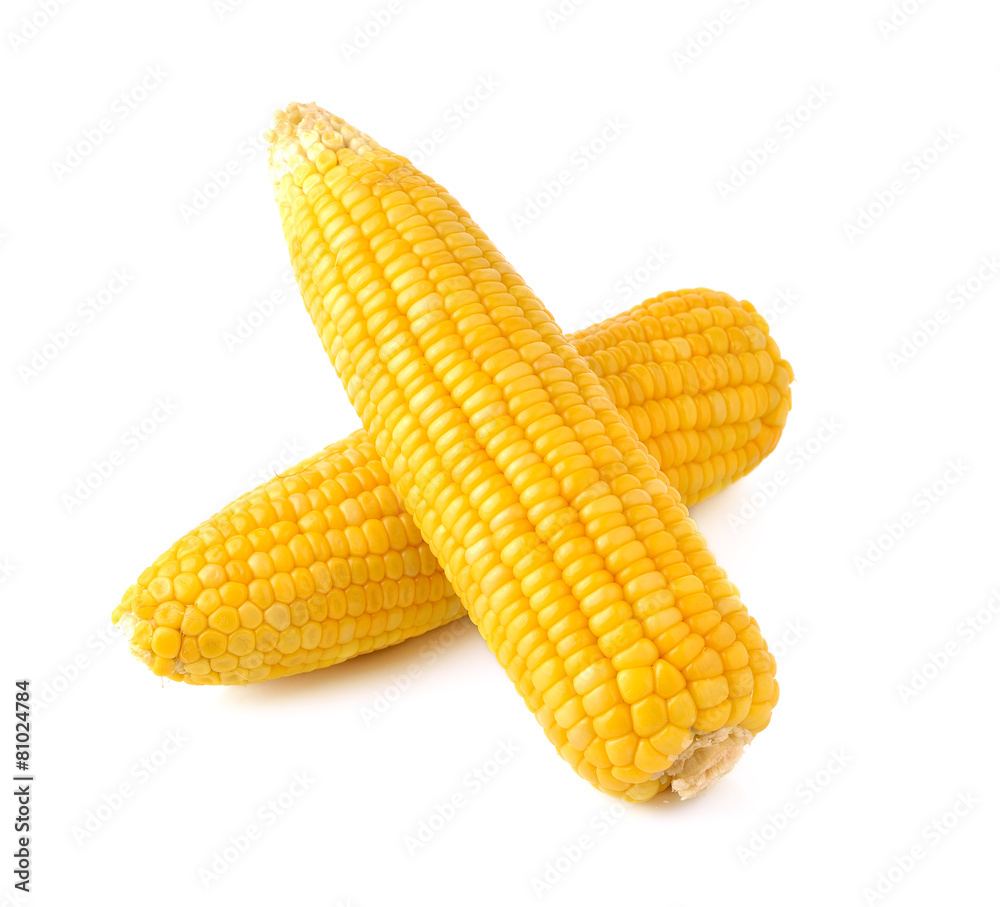 Boiled corn on white background Boiled corn on white background