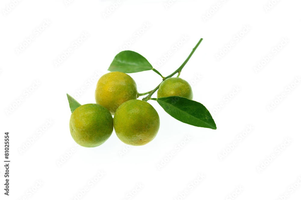 Round kumquat or small orange isolated on white background Round kumquat or small orange isolated on white background