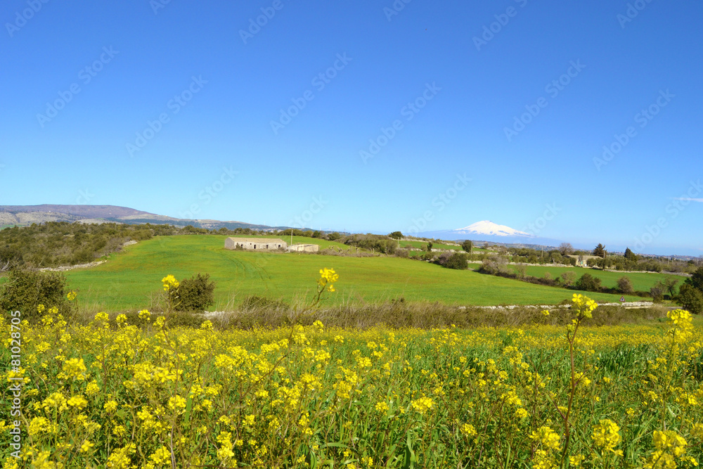Collina verde con fiori gialli un casolare e il cielo azzurro