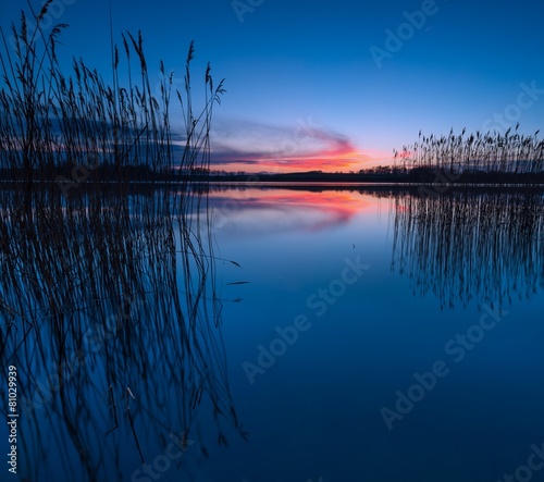 Beautiful lake. Tranquil vibrant landscape © milosz_g