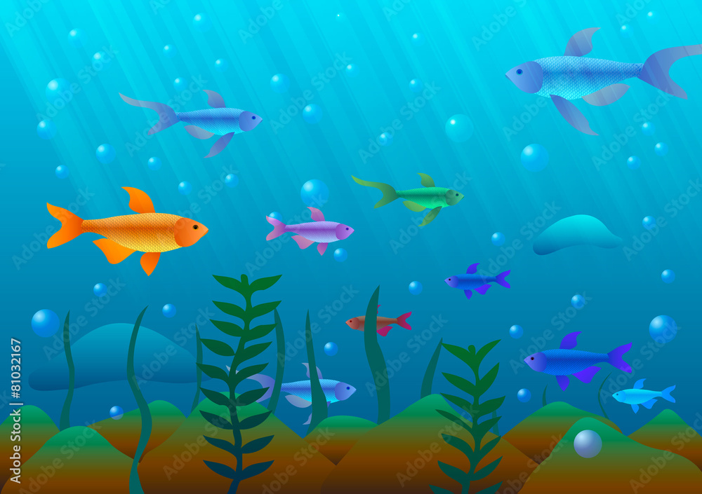 Underwater world of fish and seaweed Underwater world of fish and seaweed