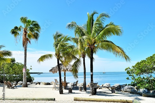 Fototapeta Naklejka Na Ścianę i Meble -  Palm trees on the Beach