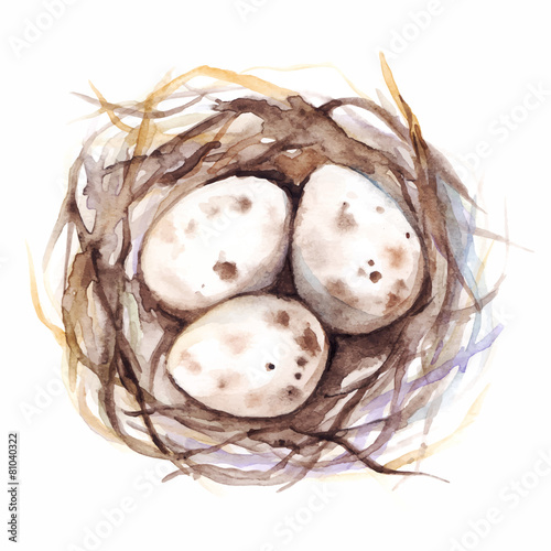 The nest with quail eggs