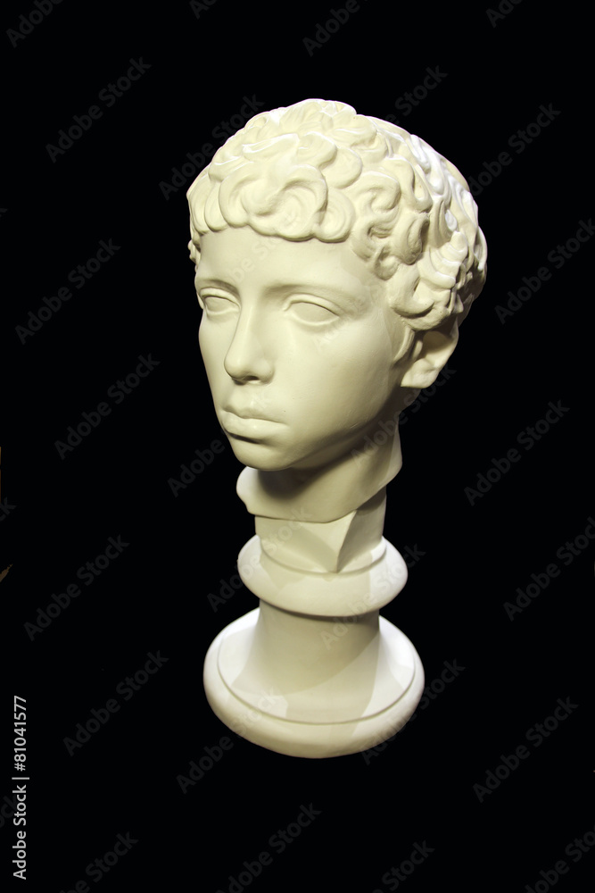 The Gypsum Head of a Boy The Gypsum Head of a Boy