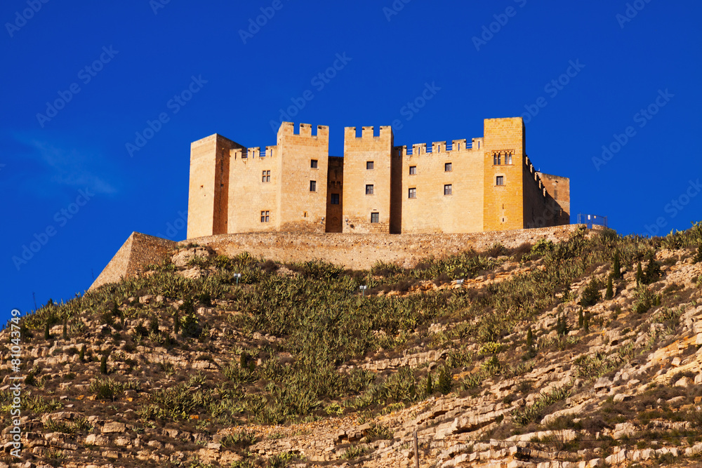  Castle of Mequinenza in sunny day
