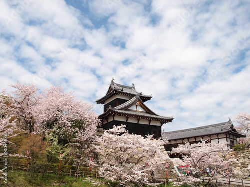春の郡山城