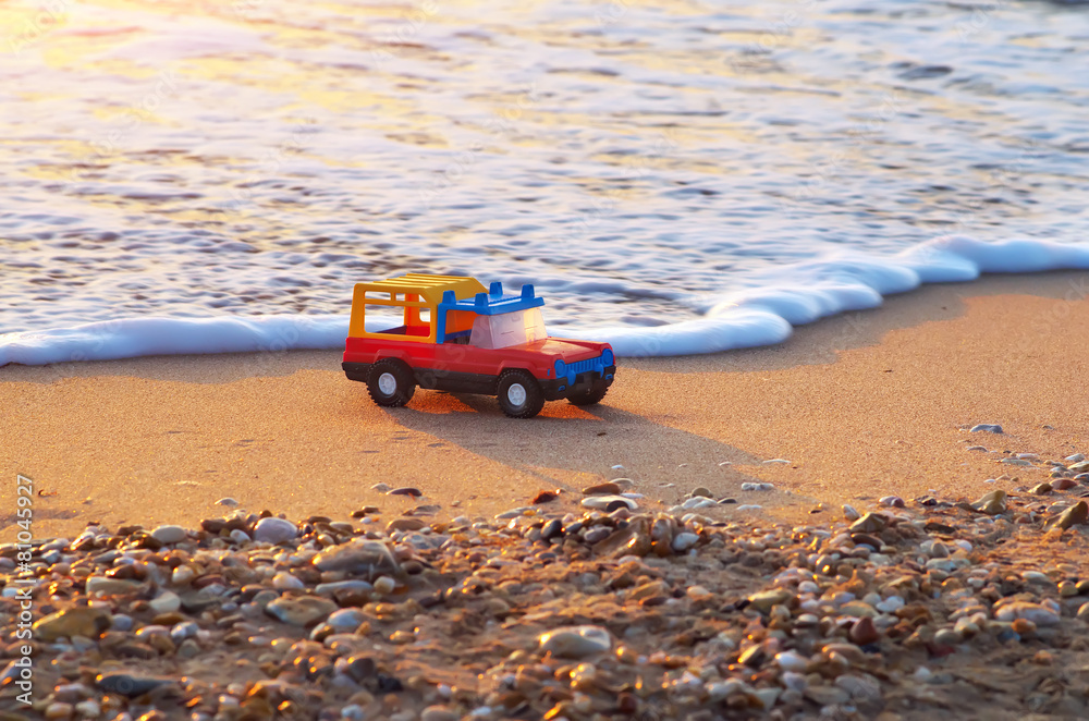 Toy on sea shore.