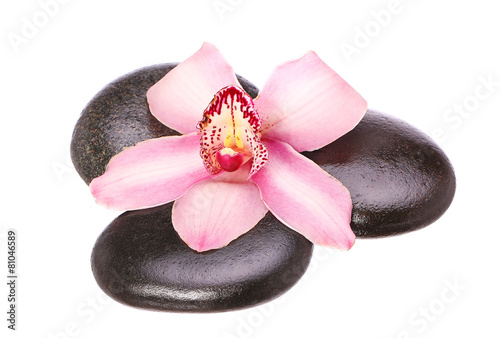Photography massage basalt stones and orchid flower isolated on white backgr