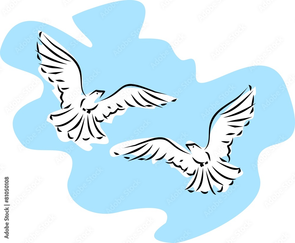 Sketch of two flying dove Sketch of two flying dove