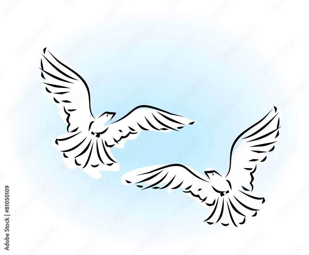 Obraz premium Sketch of two flying dove