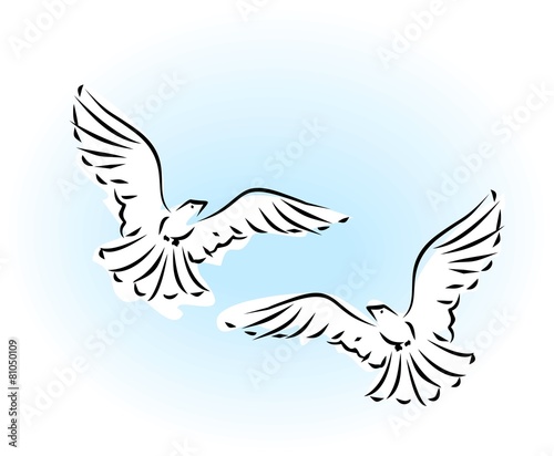 Sketch of two flying dove