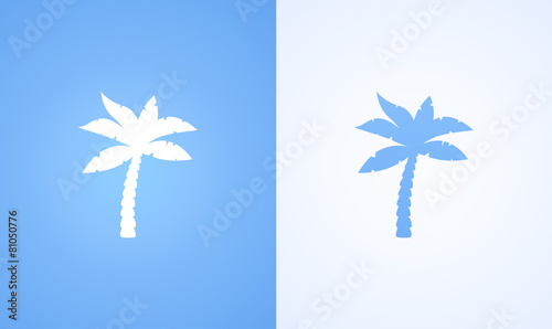 Coconut Palm