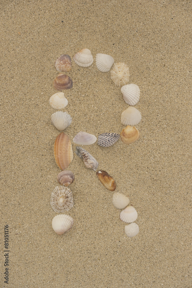 Buchstabe R aus Muscheln im Sand Buchstabe R aus Muscheln im Sand